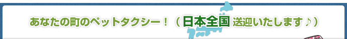 あなたの町のペットタクシー！（日本全国送迎いたします♪）